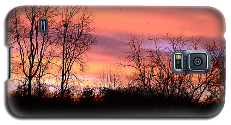 Sunrise Galaxy S5 Case featuring the photograph Early Morning Color Canvass by Wanda Brandon