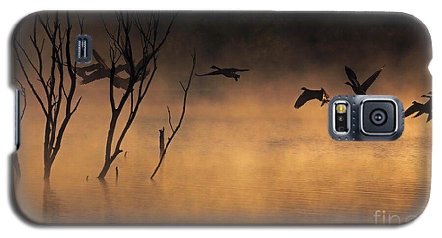 Lake Galaxy S5 Case featuring the photograph Early Morning Flight by Elizabeth Winter