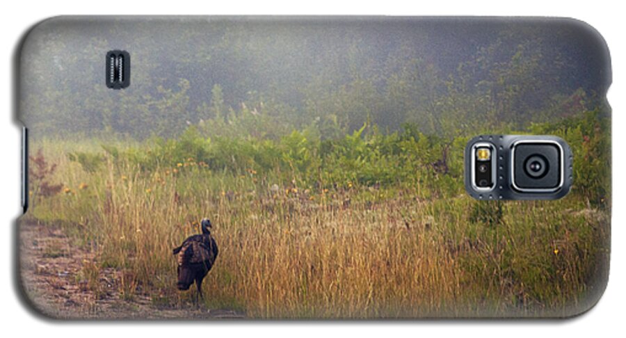 Turkey Galaxy S5 Case featuring the photograph Early Morning Strole by Ron Haist
