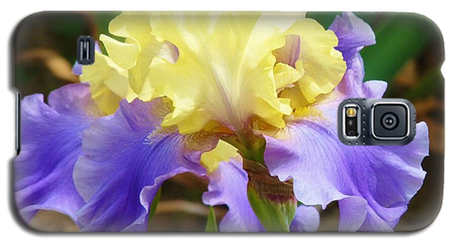 Flower Galaxy S5 Case featuring the photograph Easter Iris by Jeanette Oberholtzer