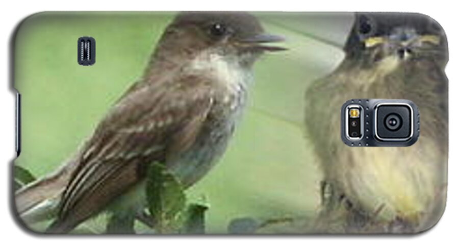 Birds Galaxy S5 Case featuring the photograph Eastern Phoebe Family by Natalie Rotman Cote