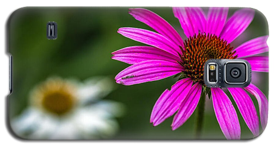 Echinacea-purpurea Galaxy S5 Case featuring the photograph Echinacea Purpurea by Bernd Laeschke