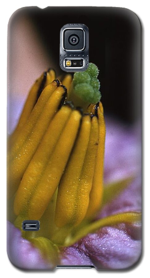 Retro Images Archive Galaxy S5 Case featuring the photograph Egg Plant Flower by Retro Images Archive