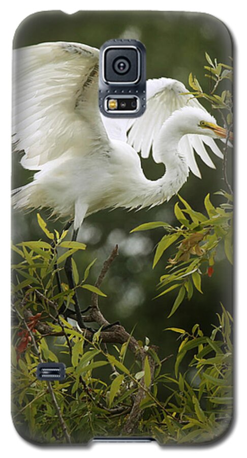 Great Egret Galaxy S5 Case featuring the photograph Egret Launch by Joseph G Holland