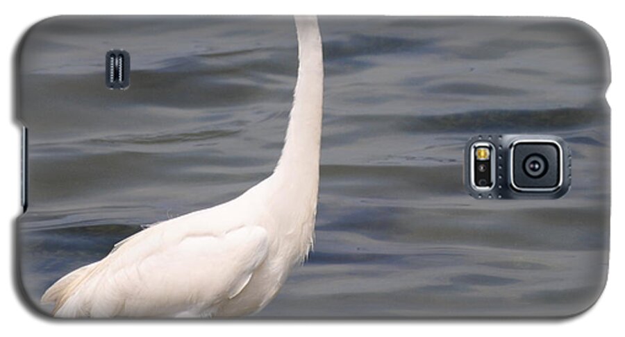 Egret Galaxy S5 Case featuring the photograph Egret on alert by Dan Williams