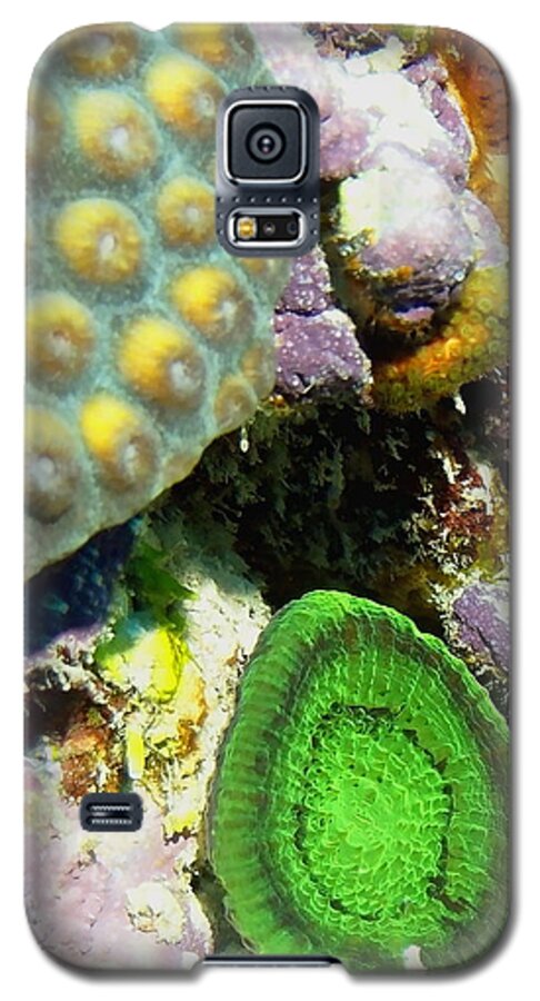 Nature Galaxy S5 Case featuring the photograph Emerald Artichoke Coral by Amy McDaniel