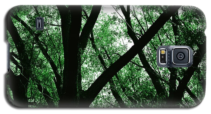 Forests Galaxy S5 Case featuring the photograph Emerald Forest by Steven Milner