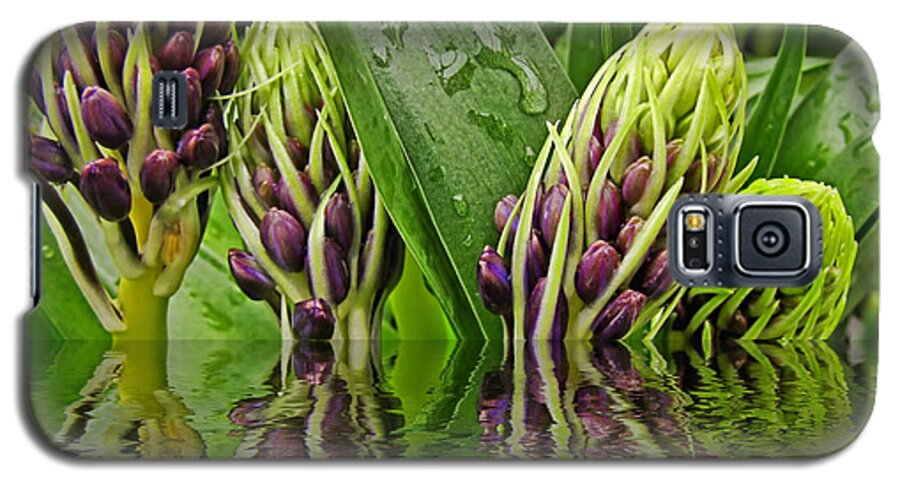 Nature Galaxy S5 Case featuring the photograph Emerging by Debbie Portwood