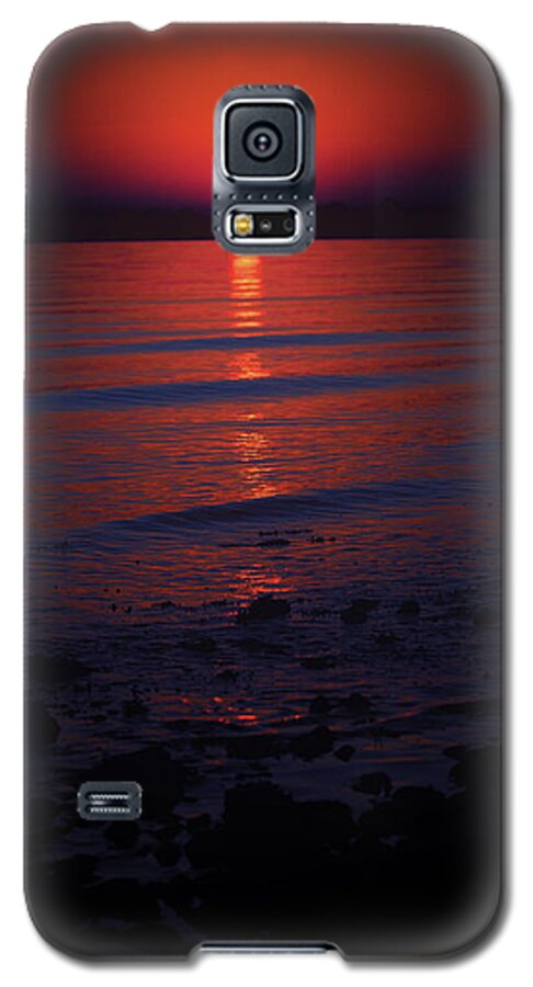 Sunset Galaxy S5 Case featuring the photograph Ending Colors by Karol Livote