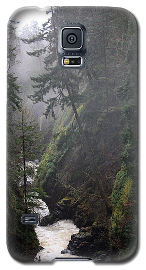 Nature Galaxy S5 Case featuring the photograph Englishman River Mist by Gerry Bates