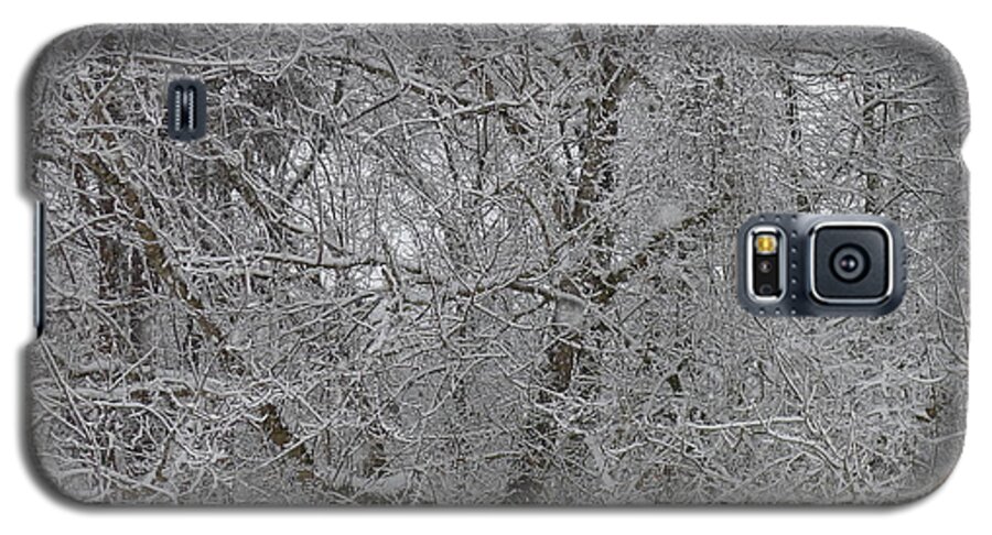 Winter Galaxy S5 Case featuring the photograph Ephemeral by Joel Deutsch