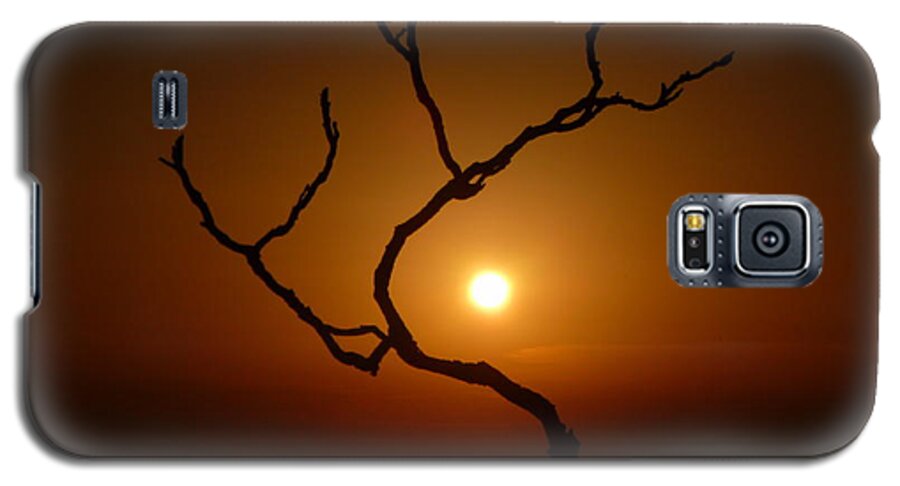 Evening Galaxy S5 Case featuring the photograph Evening Branch Original by Vicki Spindler