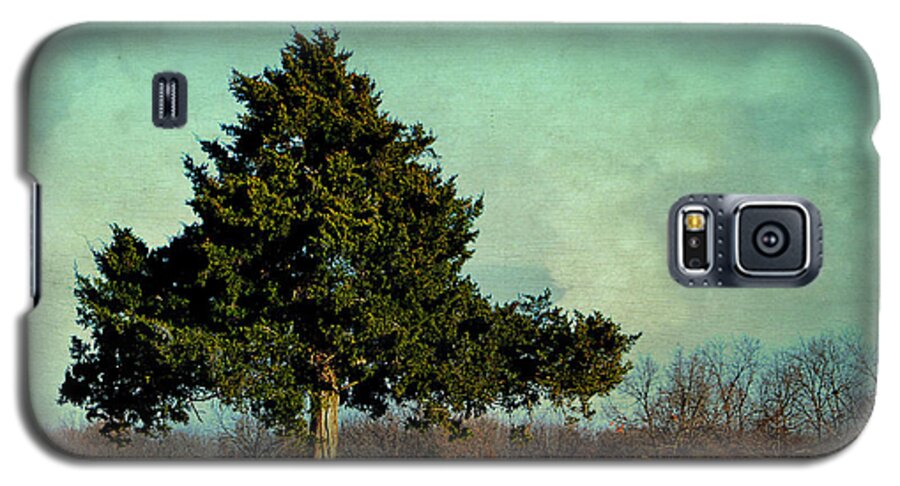 Tree Galaxy S5 Case featuring the photograph Evergreen by Deena Stoddard