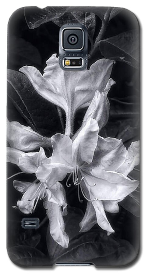 Azalea Galaxy S5 Case featuring the photograph Exbury Azalea in Black and White by Louise Kumpf