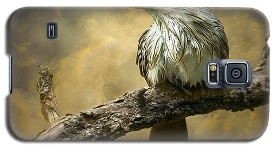 Bird Galaxy S5 Case featuring the photograph Exotic Bird - Guira Cuckoo Bird by Gary Heller