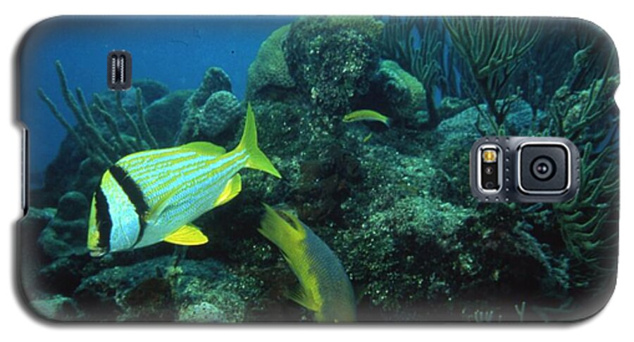 Retro Images Archive Galaxy S5 Case featuring the photograph Exotic Fish by Retro Images Archive