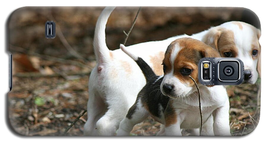 Beagle Puppy Galaxy S5 Case featuring the photograph Exploring Beagle Pups by Neal Eslinger