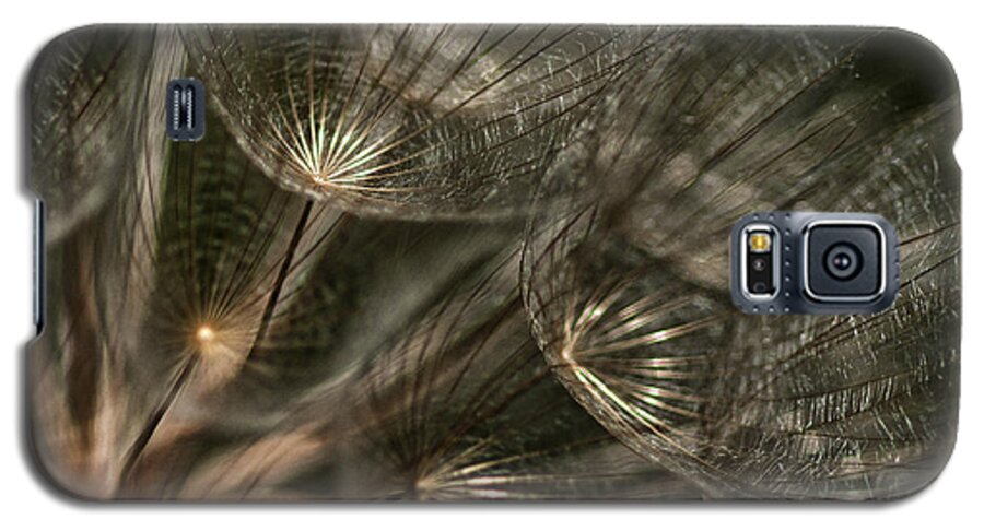 Dandelion Galaxy S5 Case featuring the photograph Explosion by Betty Depee
