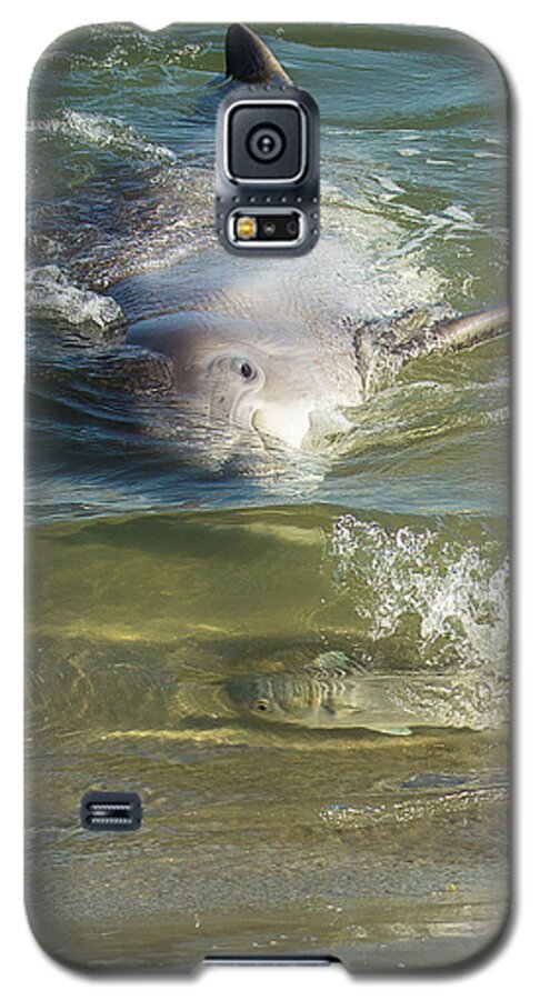 Dolphin Galaxy S5 Case featuring the photograph Eye Spy by Patricia Schaefer