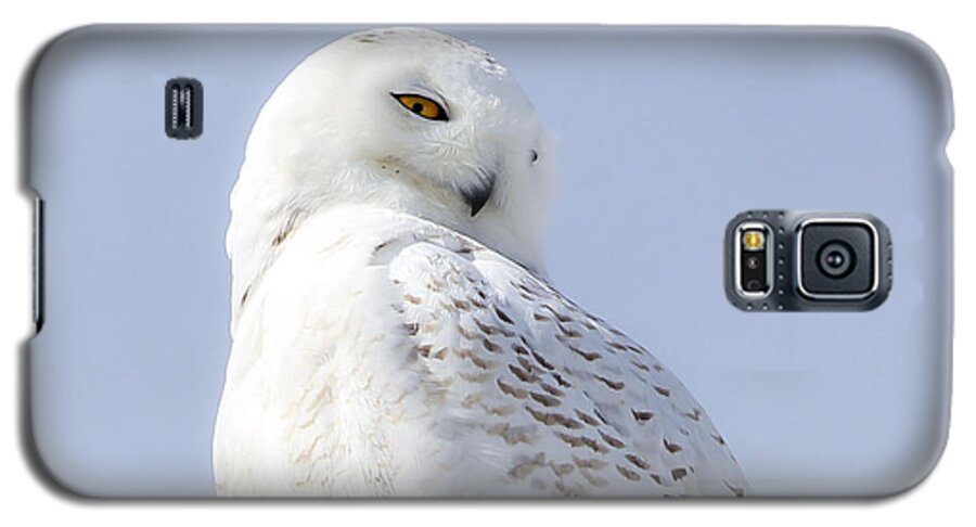 Maine Galaxy S5 Case featuring the photograph Eyes on You by Karin Pinkham