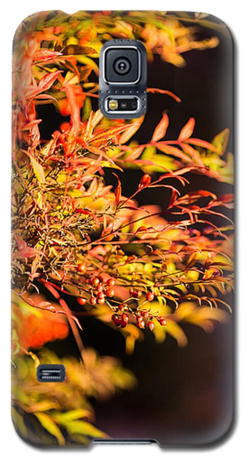 Berries Galaxy S5 Case featuring the photograph Fall Berries by Mike Lee