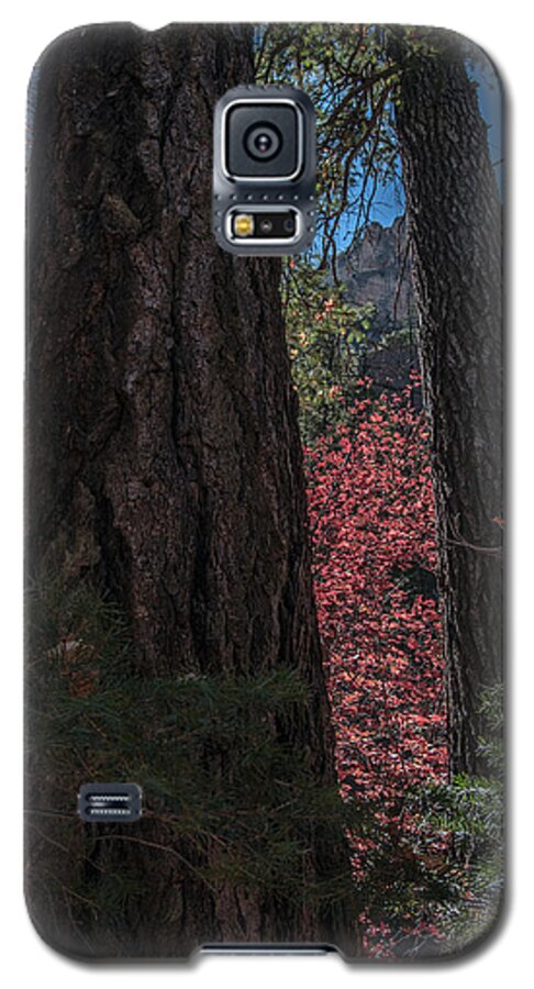 Fall Color Galaxy S5 Case featuring the photograph West Fork Perspective by Tam Ryan
