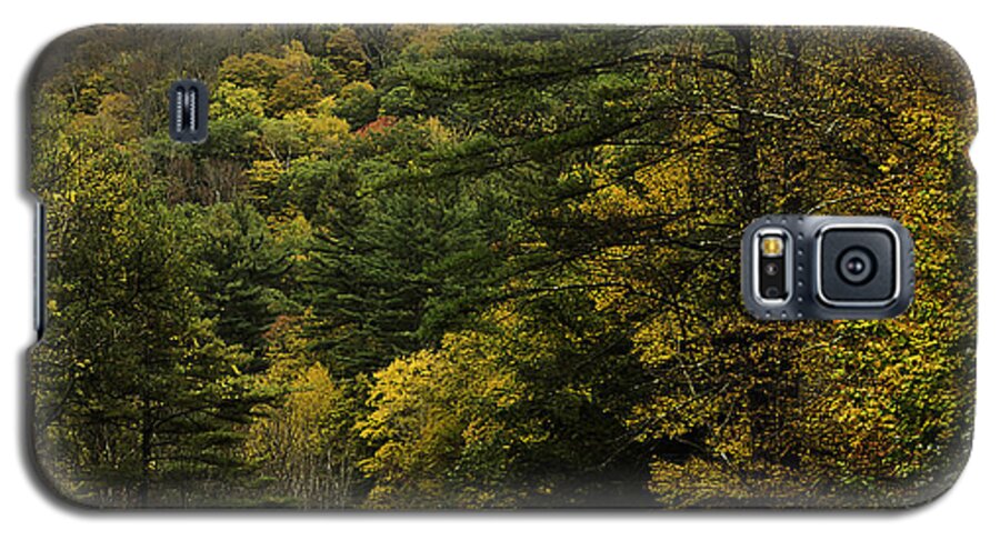 Mohawk Trail Galaxy S5 Case featuring the photograph Fall Colors on Mohawk Trail near Charlemont by Jatin Thakkar