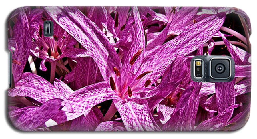 Flora Galaxy S5 Case featuring the photograph Fall Crocus by Nick Kloepping