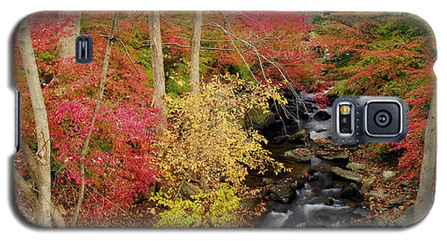 Connecticut Galaxy S5 Case featuring the photograph Fall In Western Connecticut by Dan Myers