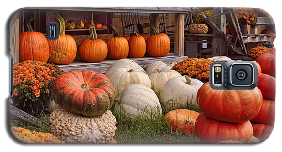 Fall Pumpkins And Gourds Galaxy S5 Case featuring the photograph Fall Pumpkins and Gourds by Greg Jackson