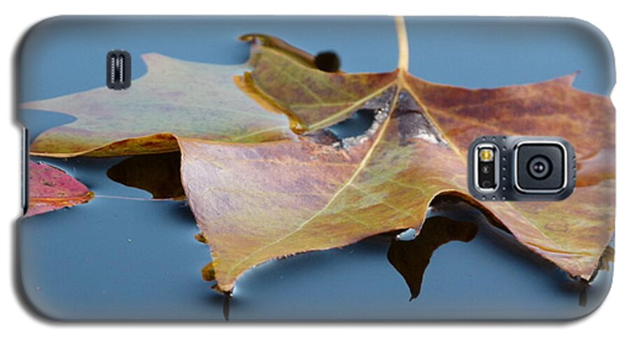 Leaves Galaxy S5 Case featuring the photograph Fall Reflections by Jane Ford