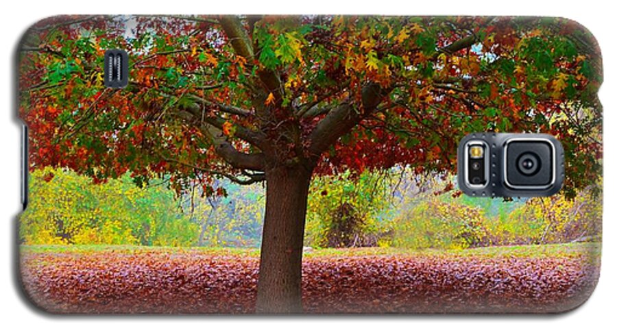 Fall Colors Galaxy S5 Case featuring the photograph Fall Tree View by Marilyn MacCrakin