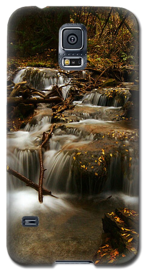Colorado Galaxy S5 Case featuring the photograph Fall with Grace by Jeremy Rhoades