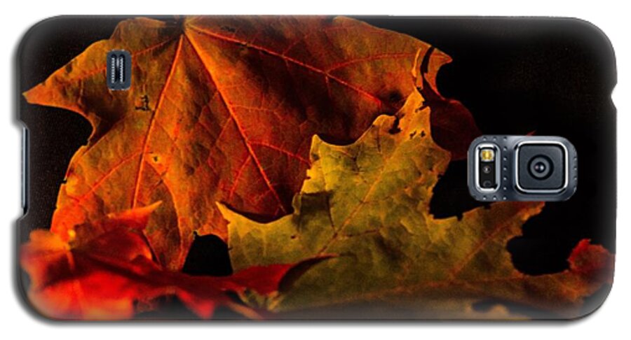 Leaves Galaxy S5 Case featuring the photograph Fallen Leaves by Judy Wolinsky
