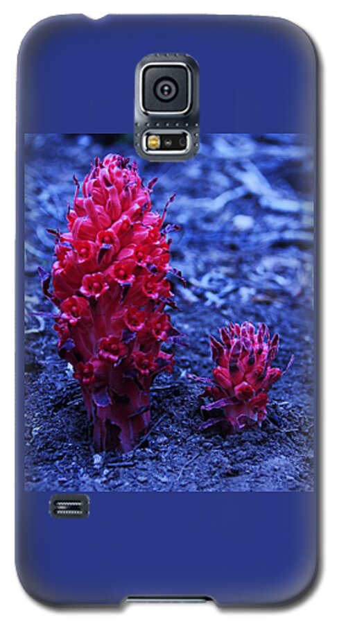 Lake Tahoe Galaxy S5 Case featuring the photograph Father and Son by Sean Sarsfield