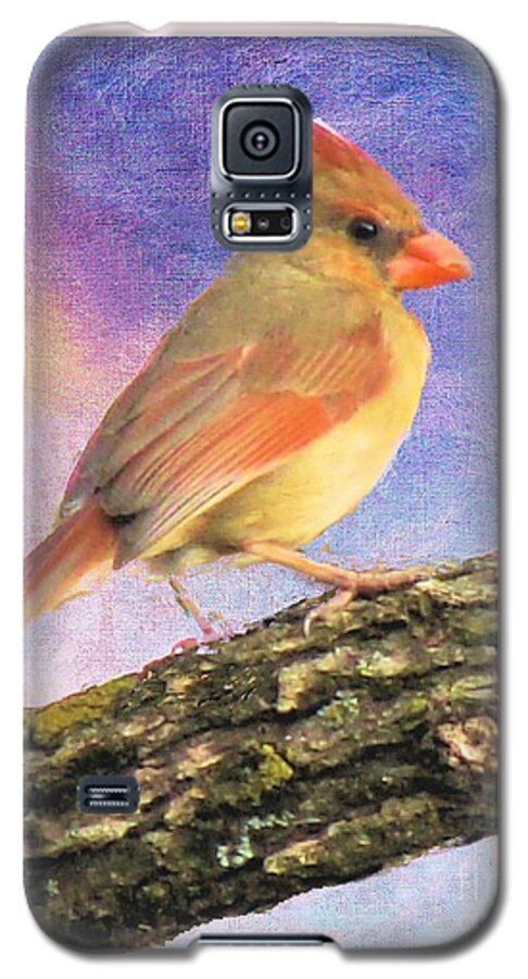 Bird Galaxy S5 Case featuring the photograph Female Cardinal Away From Sun by Janette Boyd