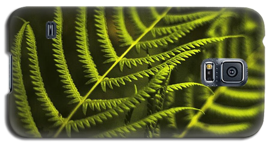 Fern Galaxy S5 Case featuring the photograph Fern by Bradley R Youngberg