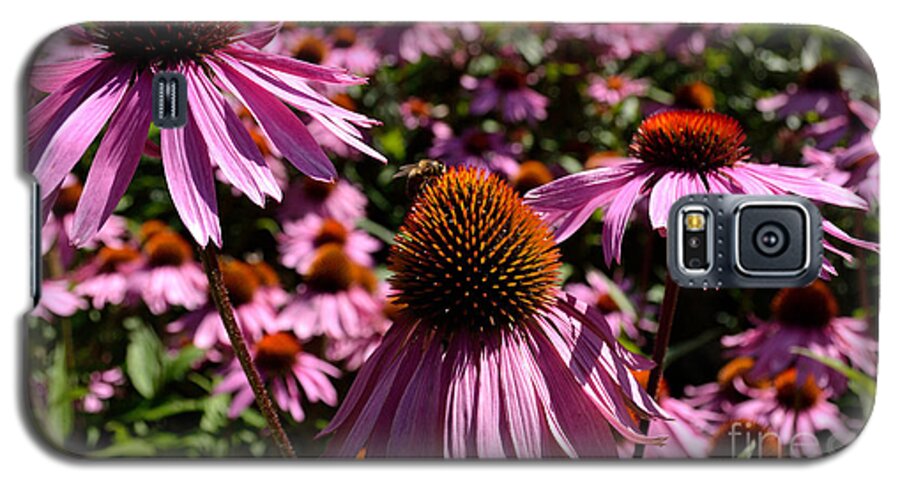 Art Galaxy S5 Case featuring the photograph Field of Echinaceas by Scott Lyons