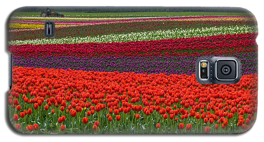Field Of Tulips Galaxy S5 Case featuring the photograph Field of Tulips by Jordan Blackstone