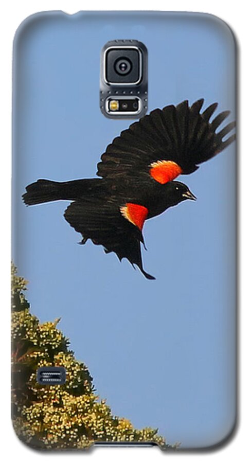 Blackbirds Galaxy S5 Case featuring the photograph Final Approach by Geoff Crego