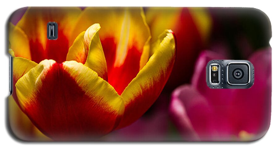 Tulips Galaxy S5 Case featuring the photograph Finally Spring by Haren Images- Kriss Haren