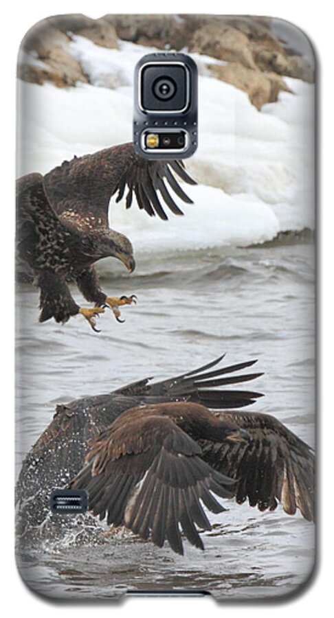 American Bald Eagle Galaxy S5 Case featuring the photograph Fish Fight by Coby Cooper