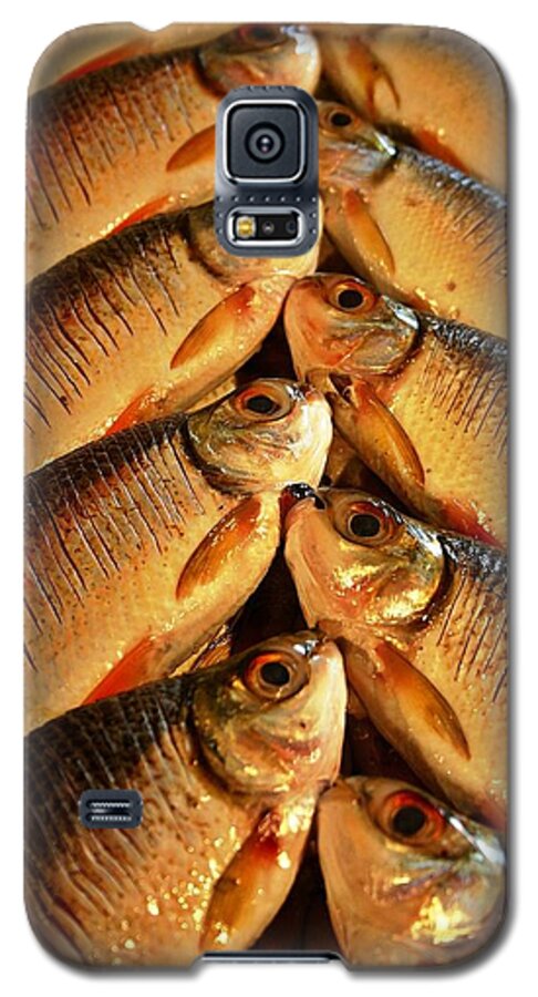 Fish Galaxy S5 Case featuring the photograph Fish For Sale by Henry Kowalski