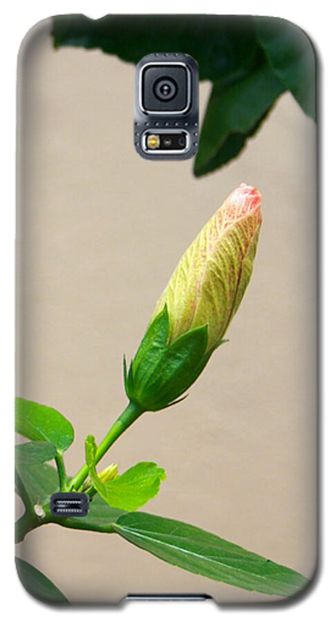 Galaxy S5 Case featuring the photograph Flare 23 by Cheryl Boyer