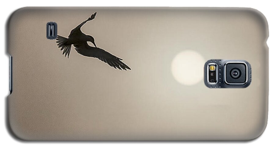Seagull Galaxy S5 Case featuring the photograph Flight by Don Durfee