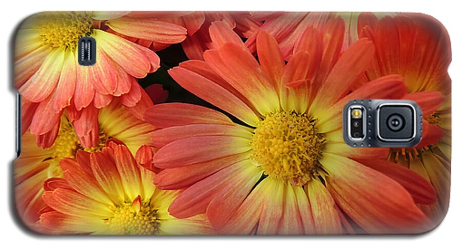 Flower Galaxy S5 Case featuring the photograph Floral Frenzy 2 by Robert Mitchell