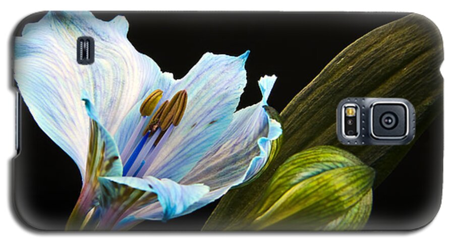Flowers Galaxy S5 Case featuring the photograph Flower by Gunnar Orn Arnason