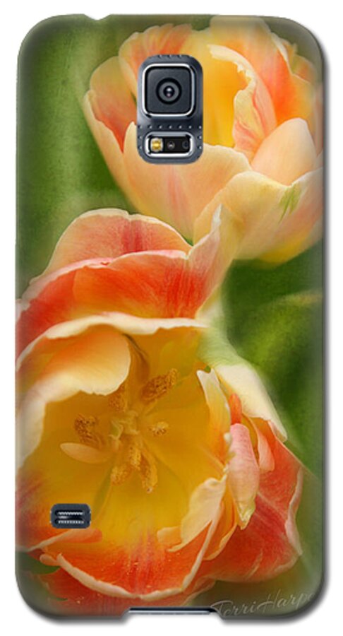 Tulips Galaxy S5 Case featuring the photograph Flower Power Revisited by Terri Harper