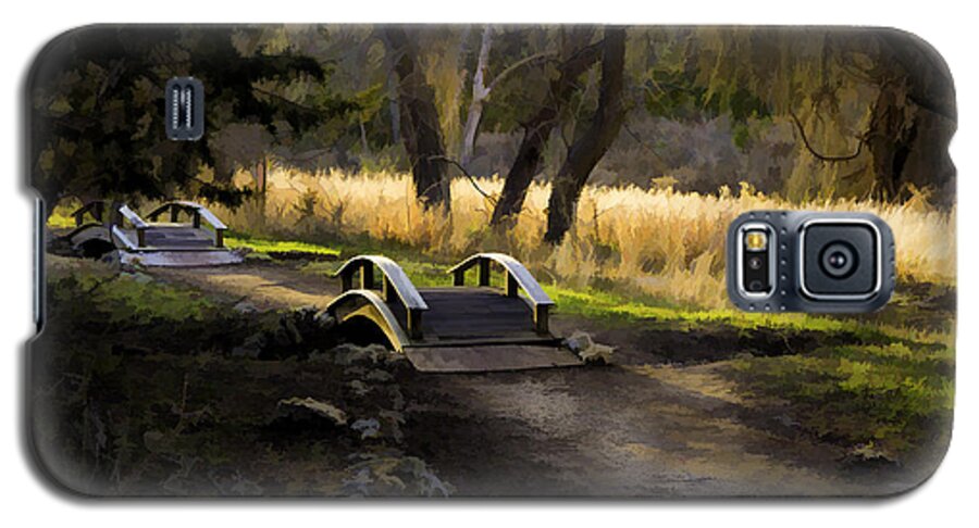 Foot Bridge Galaxy S5 Case featuring the photograph Foot Bridges at Sunset by Dean Ginther
