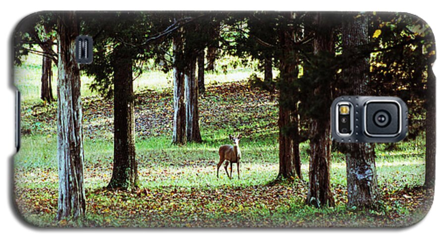 Deer Galaxy S5 Case featuring the digital art Forest Buck by Lorna Rose Marie Mills DBA Lorna Rogers Photography